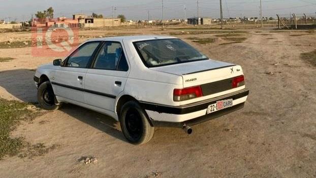 Peugeot Roa